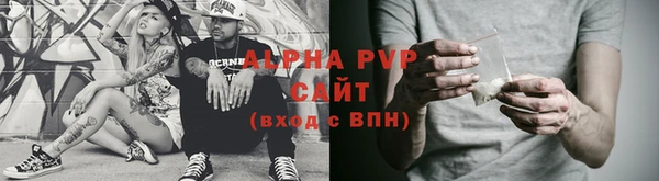 индика Карпинск