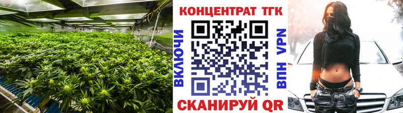 Купить где  Аша  ТГК концентрат 